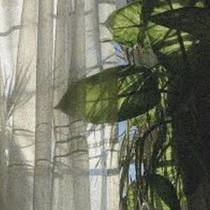 Meet your Posher, Vicsic